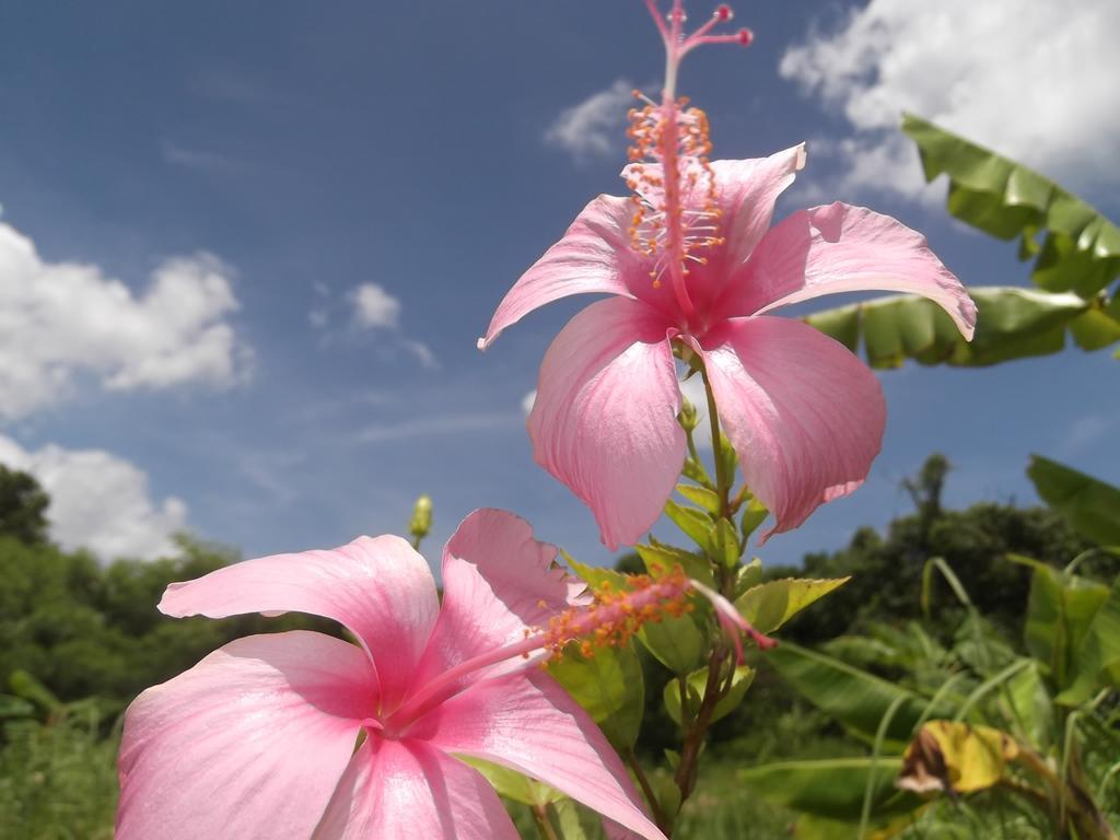 Yoisama Sunrise Beach House Ishigaki  ภายนอก รูปภาพ