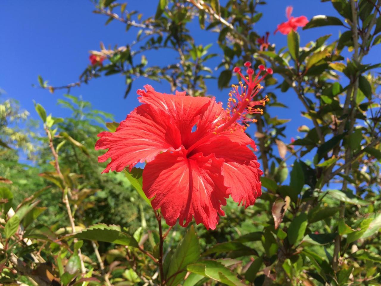 Yoisama Sunrise Beach House Ishigaki  ภายนอก รูปภาพ